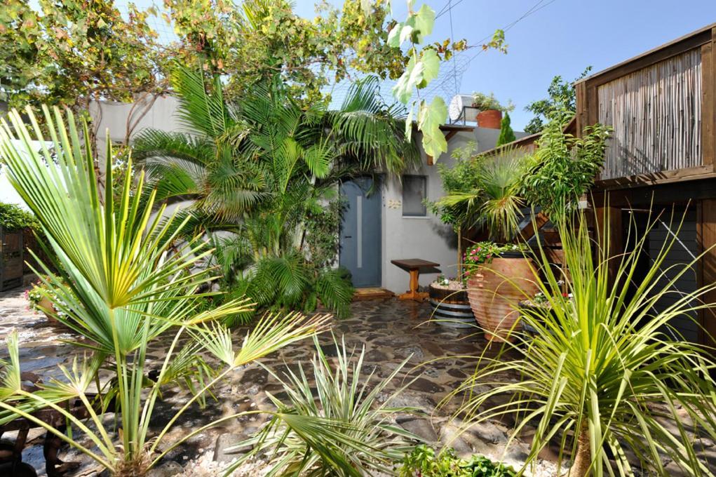 Nichochot Provence Villa Had Nes Exteriör bild