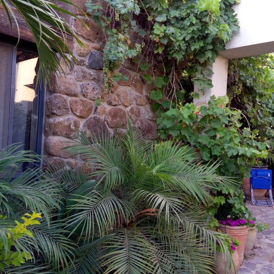 Nichochot Provence Villa Had Nes Exteriör bild